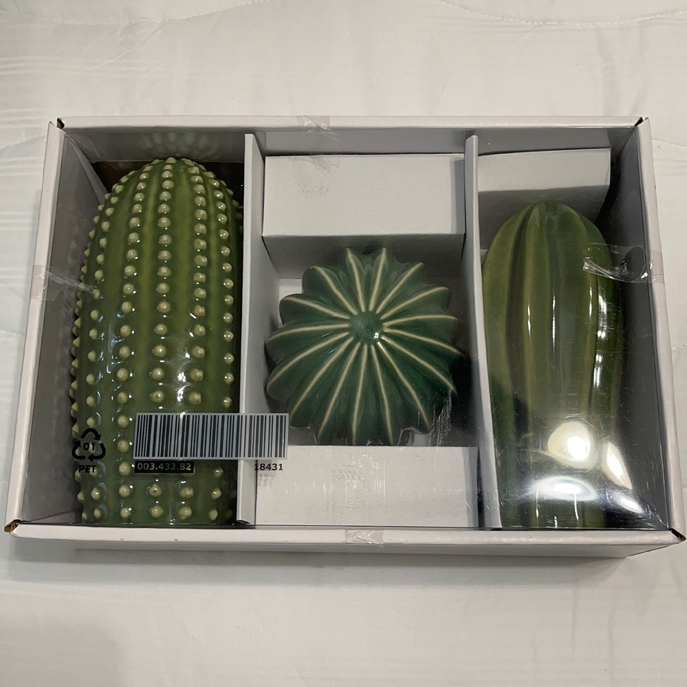 IKEA New in box cactus decor